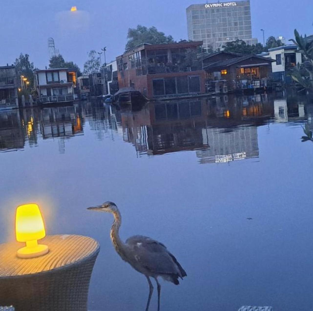 The New Lake Boathouse Amsterdam Dış mekan fotoğraf